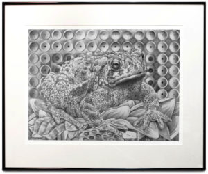 Bufo the Toad - Framed Artist Print